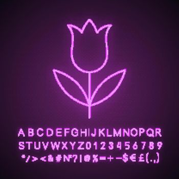 Tulip neon light icon