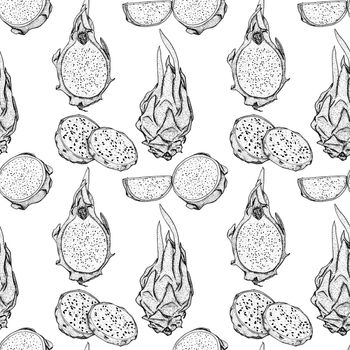 Vector hand drawn seamless pattern of pitaya. Dragon fruit illustration. Delicious tropical vegetarian pattern.