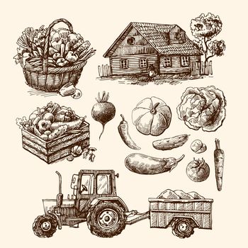 eco farm sketch