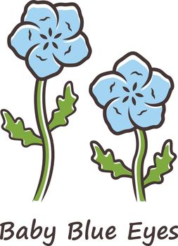 Baby blue eyes color icon. Linen blooming flower with name inscription. Nemophila menziesii garden plant. Blue flax inflorescence. Wildflower blossom. Isolated vector illustration