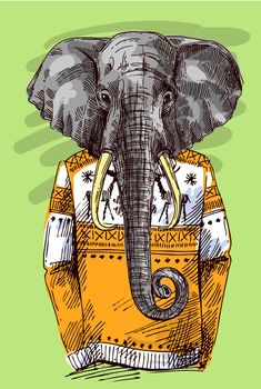 Elephant in knitted sweater.