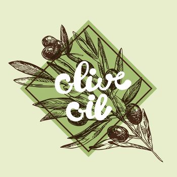 vector illustration olive