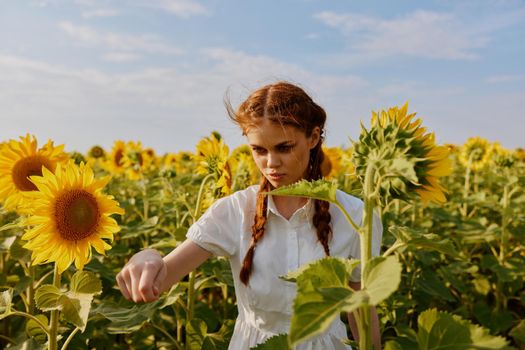 woman with pigtails in a field of sunflowers countryside. High quality photo