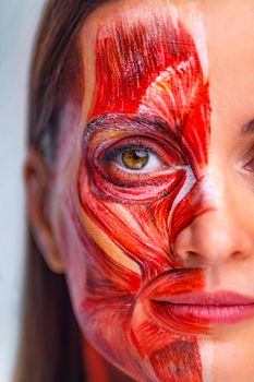 Cosmetology concept. Young woman with half of face with muscles structure under skin. Model for medical training on a light background. Close up photo of face human anantomy.