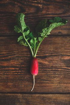 Homegrown red radish