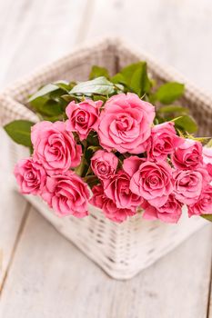 Pink rose in basket 