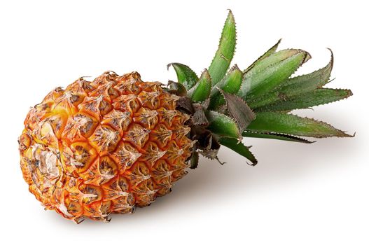 Single pineapple lies isolated on a white