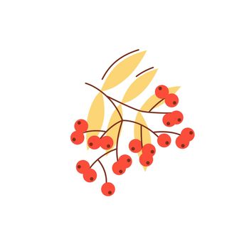 Rowanberry in fall season flat vector abstract element