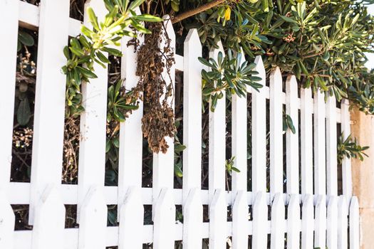 County style white wooden fence. White fence in perspective