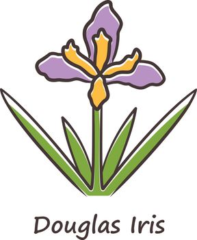 Douglas iris plant purple color icon. California blooming wildflower with name inscription. Garden flower, weed. Iris douglasiana inflorescence. Spring blossom. Isolated vector illustration
