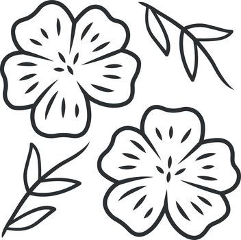 Blue flax plant linear icon. Linen wild flower. Spring blossom. Blooming linum wildflower. Thin line illustration. Contour symbol. Vector isolated outline drawing