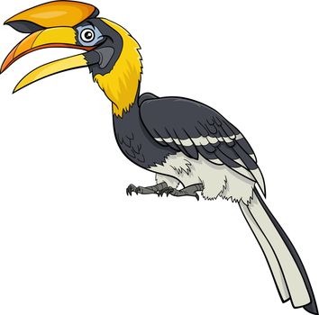 hornbill bird animal character cartoon illustration