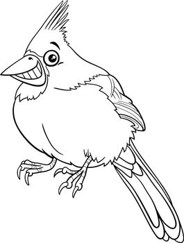 cartoon northern red cardinal bird character coloring book page