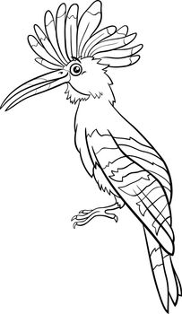 cartoon hoopoe bird animal character coloring book page