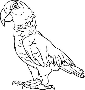 cartoon grey parrot bird animal character coloring book page