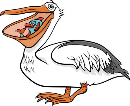 pelican bird animal character with fish cartoon illustration