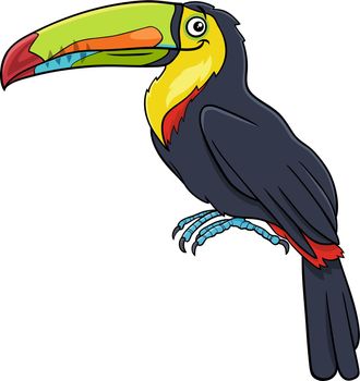 toucan bird animal character cartoon illustration