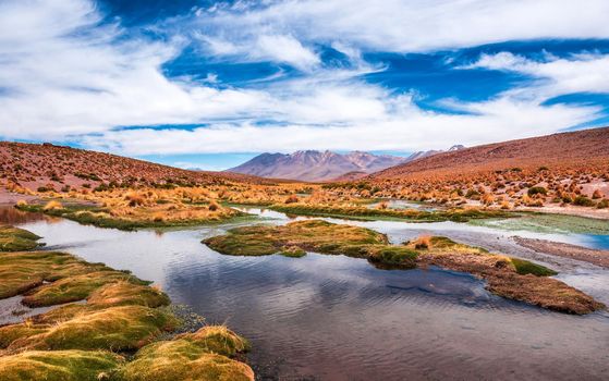 Lagoon landscape in Bolivia