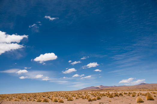 Sunshine desert field in Bolivia