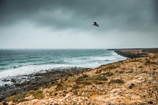 coastline in Lanzarote in gloomy weather
