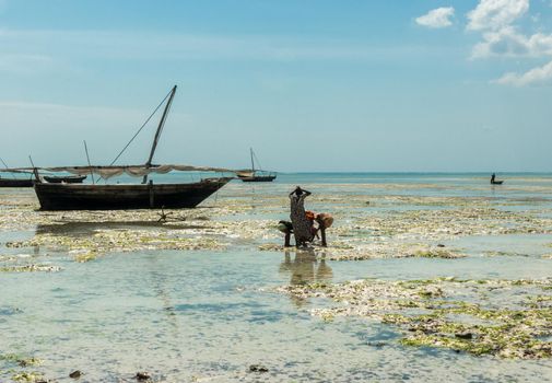 people and wooden fishing ship in water near fishing village in Zanzibar
