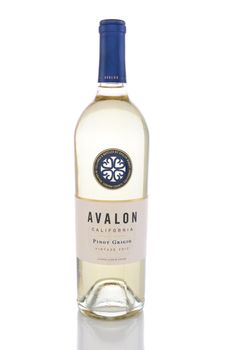 Avalon Pinot Grigio
