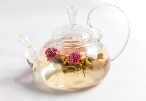 Flowering or blossoming tea in glass teapot