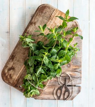 Rustic cutting board with leaves of mint, topview