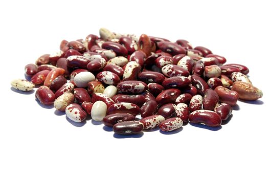 Kidney beans of diferent
