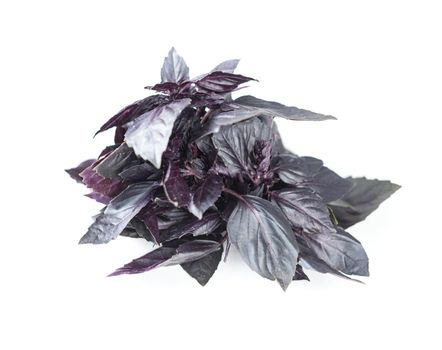Violet basil leaves isolated