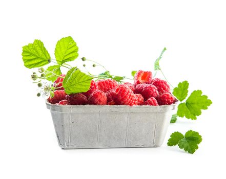 Raspberry container
