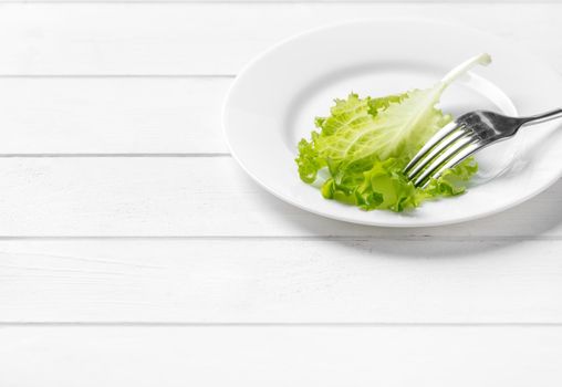 White plate with a leaf of lettuce