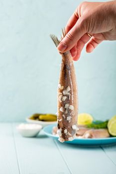 Traditional dutch food herring fish