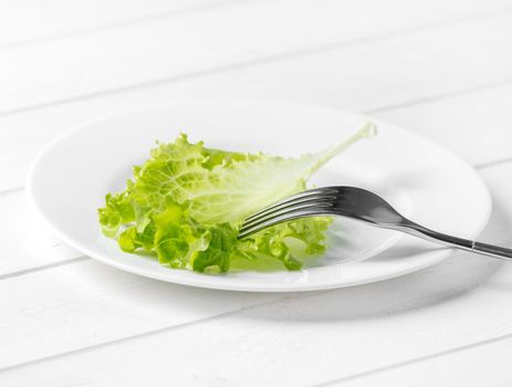 White plate with a leaf of lettuce