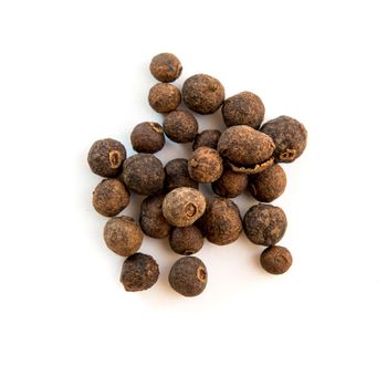 allspice isolated