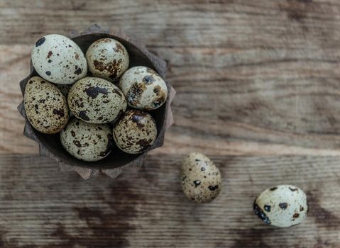 tiny quail eggs with brown spots, topview