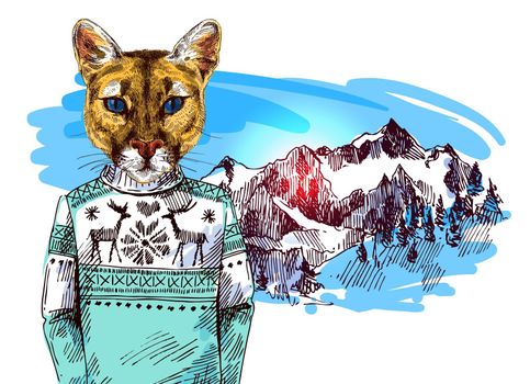 Puma in knitted sweater in mountains landscape.