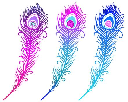 illustration of colorful peacock feather