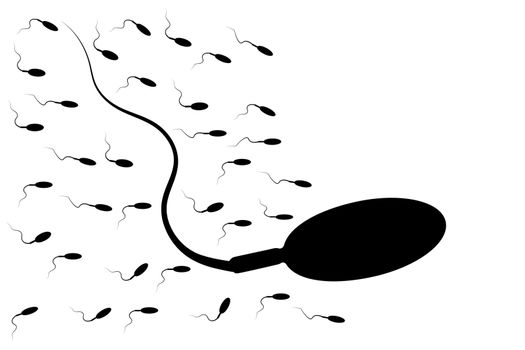 Many sperm isolated on white background. Sperm silhouettes runs towards the egg.