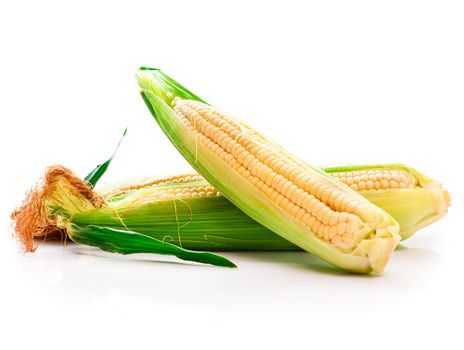 fresh corn vegetable