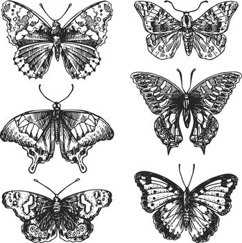 hand drawn butterflies