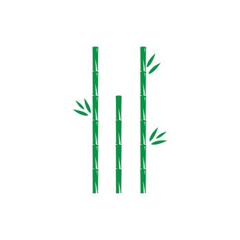 Bamboo with green leaf