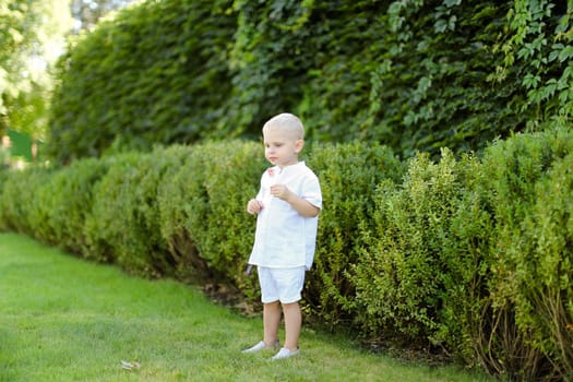 Little male kid wearing white clothes standing near green bushes.