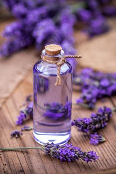 Spa massage oil and fresh lavender flowers