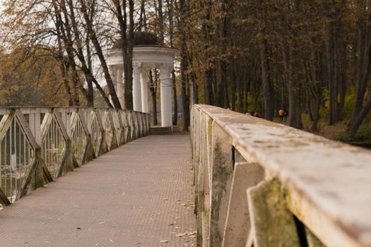Bridge park colorful background yellow, leaves orange travel, scenics pathway. Netherlands germany palace, fresh vibrant