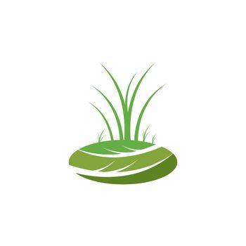 Grass logo vector 