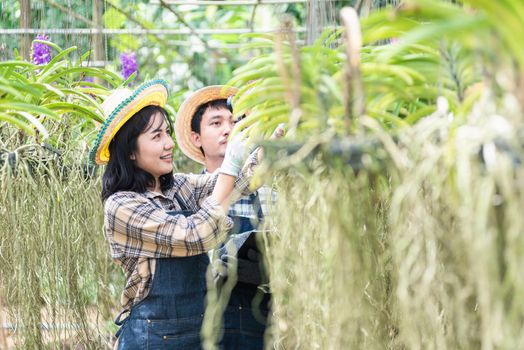 Young couple farmers checking their orchid gardening farm