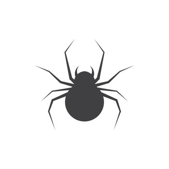 spider ilustration logo 
