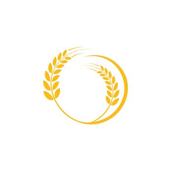 wheat logo vector 