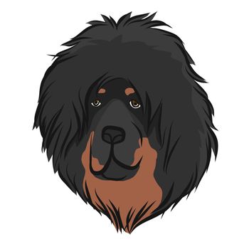 Tibetan Mastiff dog face cartoon vector illustration